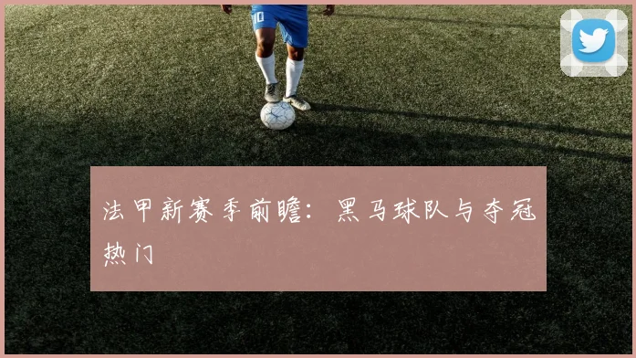 法甲新赛季前瞻：黑马球队与夺冠热门